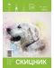 Βιβλίο σκίτσων Sky Art - Σκύλος, 20 φύλλα, А5 - 1t