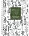 Βιβλίο σκίτσων Drasca Flowers - Βότανα, A6, 60 φύλλα - 1t