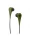 Ακουστικά Energy Sistem - Earphones Style 1, πράσινα - 3t