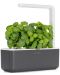 Smart γλάστρα Click and Grow - Smart Garden 3, 8 W, γκρι - 4t