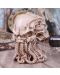 Αγαλματίδιο   Nemesis Now Books: Cthulhu - Skull, 20 cm - 7t