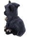 Αγαλματίδιο Nemesis Now Adult: Gothic - Reaper's Feline, 16 cm - 2t