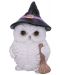 Αγαλματίδιο Nemesis Now Adult: Gothic - Snowy Magic, 18 cm - 1t