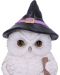 Αγαλματίδιο Nemesis Now Adult: Gothic - Snowy Magic, 18 cm - 5t