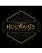 Κοντομάνικη μπλούζα  ABYstyle Movies: Harry Potter - Hogwarts Legacy	 - 2t