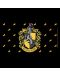 Νεσεσέρ ABYstyle Movies: Harry Potter - Hufflepuff	 - 2t