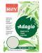 Έγχρωμο φωτοτυπικό  χαρτόνι Rey Adagio - Green, A4, 160 g, 100 φύλλα - 1t