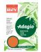 Έγχρωμο χαρτί αντιγραφής Rey Adagio - Orange, A4, 80 g, 100 φύλλα - 1t