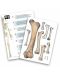 Δημιουργικό σετ Buki France -DIY ανθρώπινος σκελετός, 45 εκ - 5t