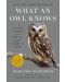 What an Owl Knows - 1t