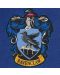Σημαία και πανό Cinereplicas Movies: Harry Potter - Ravenclaw - 4t